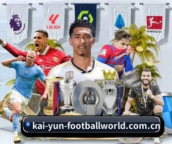 开云 APP | Kaiyun Sports